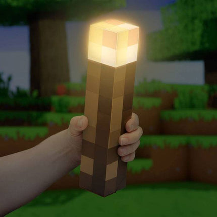 Minecraft Torch Light